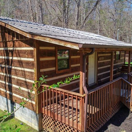 Creekside Memories Cabin Cosby Eksteriør billede